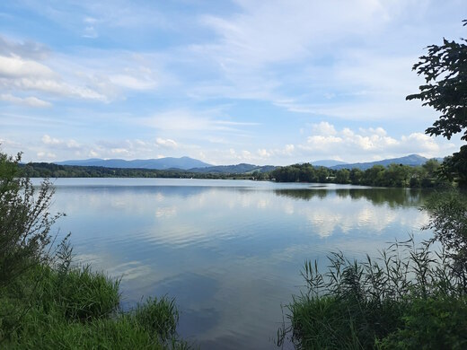 Přehrada Olešná