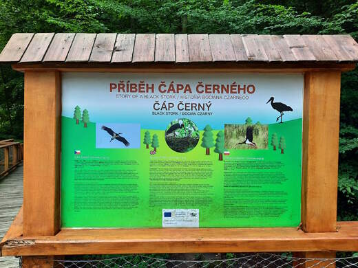 Příběh čápa černého