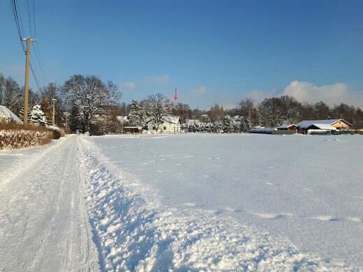 Louka před domem