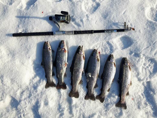 Rybaření v zimě