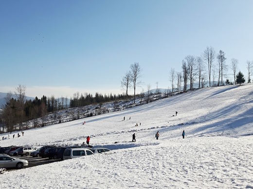 Sáňkovací svah SKI Opálená
