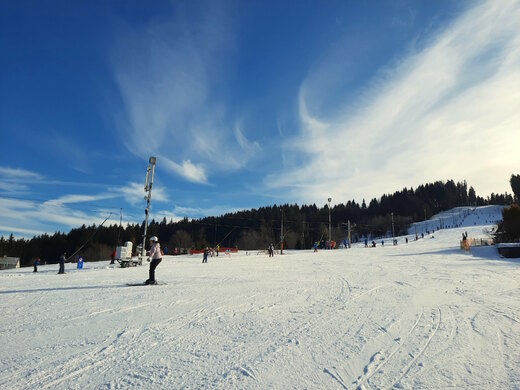 Svah U Sachovy studánky