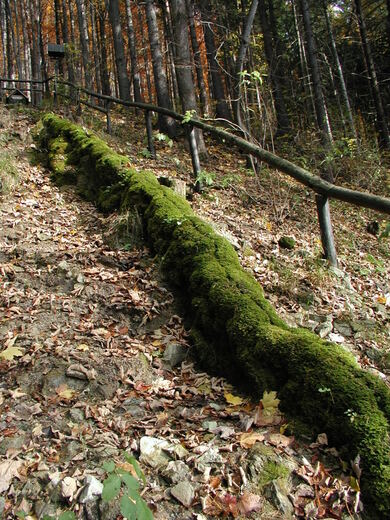 Tichavská travertinová kaskáda